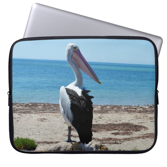 Pelican On Beach Rock, Laptop Sleeve (Front)