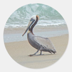 Pelican on Outer Banks OBX NC Classic Round Sticker