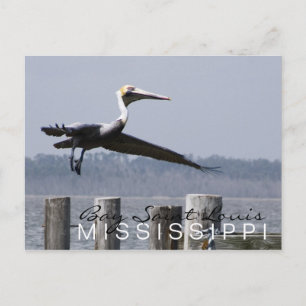"pelican on the bay" postcard