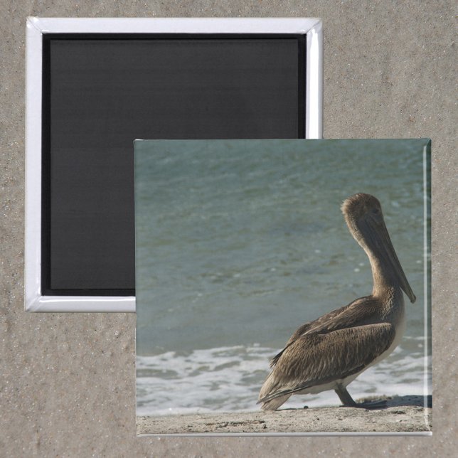 Pelican on the Beach Photo Magnet (A magnet with a photo of a brown pelican enjoying some time near the ocean on the beach.)