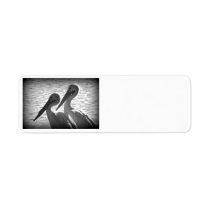 Pelican Pals in Black Return Address Label