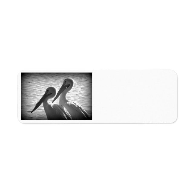 Pelican Pals in Black Return Address Label (Front)