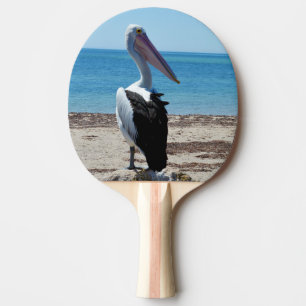 Pelican Perched On A Beach Rock, Ping Pong Paddle