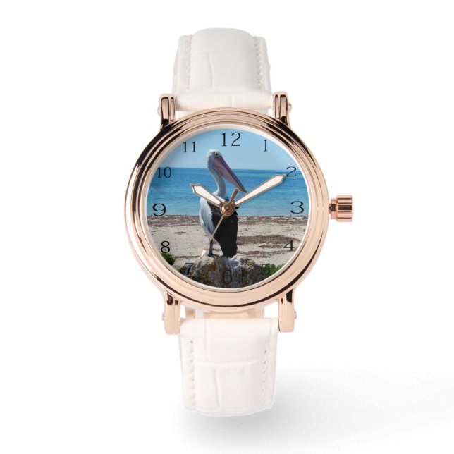 Pelican Perched On A Beach Rock, Watch (Front)