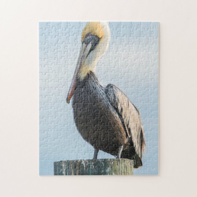 Pelican perched on pylon jigsaw puzzle (Vertical)
