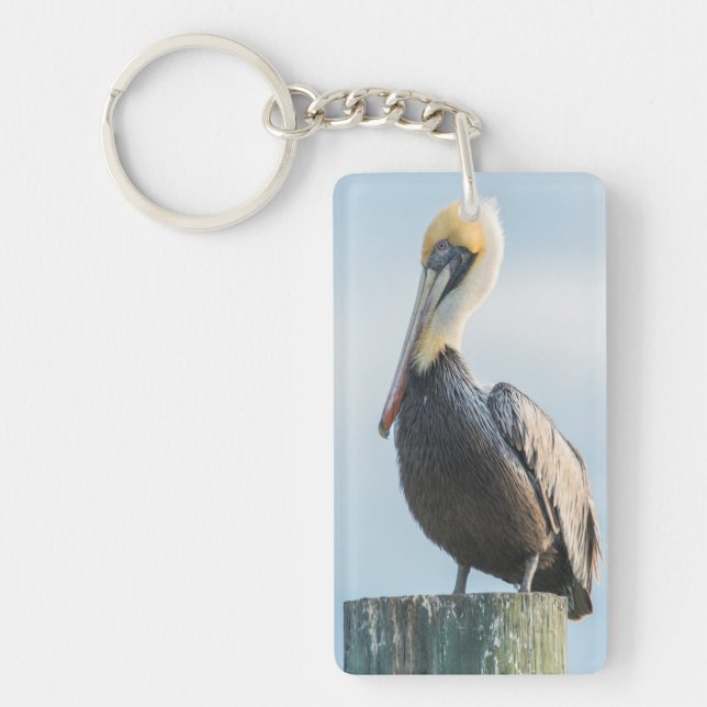 Pelican perched on pylon key ring (Front)