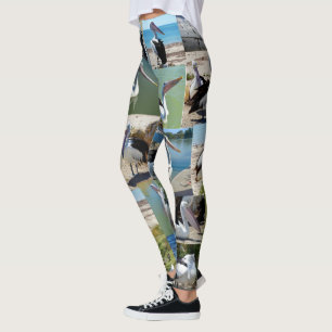 Pelican Photo Collage, Ladies Leggings