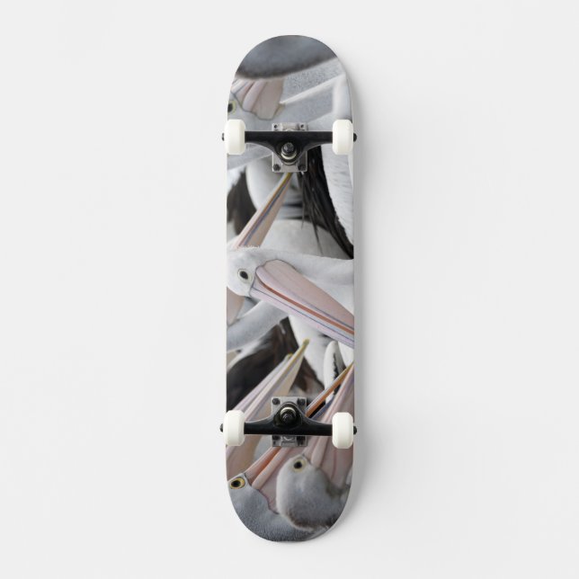 Pelican Pod Skateboard (Front)