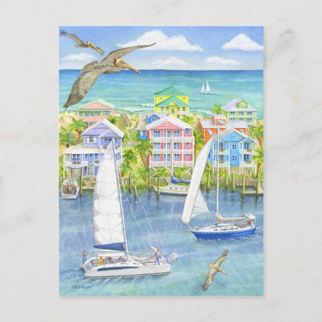 Pelican Point of View Postcard (Front)