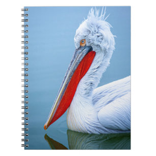 PELICAN PORTRAIT NOTEBOOK