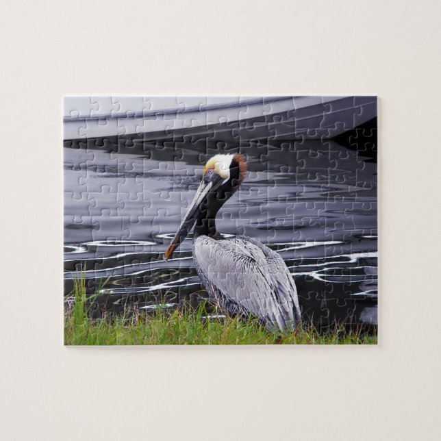 Pelican Poser Jigsaw Puzzle (Horizontal)