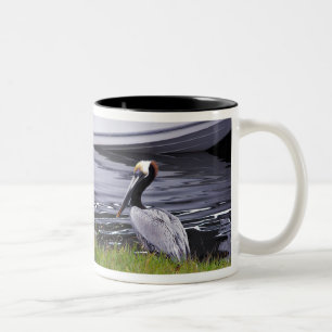 Pelican Poser Two-Tone Coffee Mug