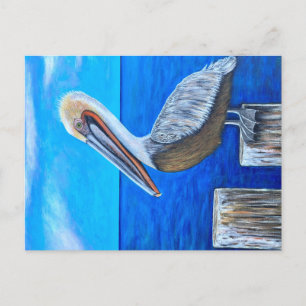 Pelican Postcard
