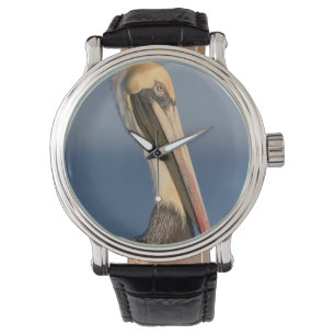 Pelican Profile Watch