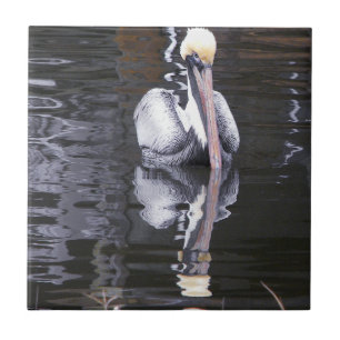 Pelican Reflecting Ceramic Tile