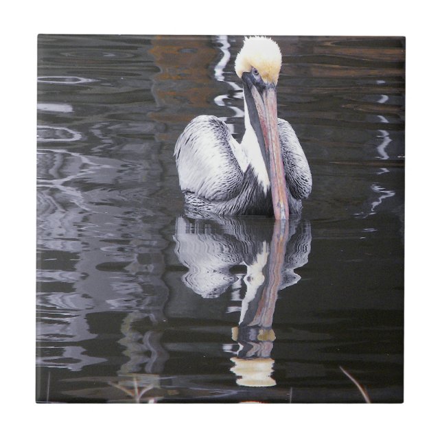 Pelican Reflecting Ceramic Tile (Front)