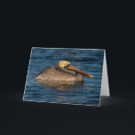 Pelican Resting in Water Card<br><div class="desc">Wildlife photography of a brown pelican resting in the blue water on a late spring evening by Lori A Cash Conservation Photography (loriacash.com). Perfect or a bird lover. Please contact me at lacphoto@outlook.com, if you would like to have this design on a different product.</div>