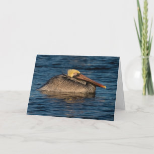 Pelican Resting in Water  Card