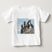 Pelican Rock