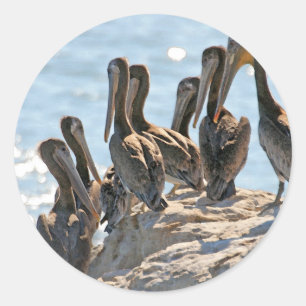 Pelican Rock Classic Round Sticker