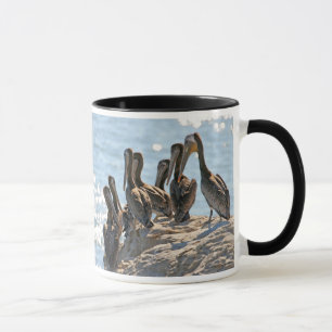 Pelican Rock Mug