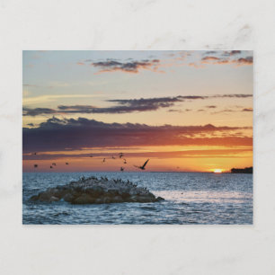 Pelican Rock Sunset, Dauphin Island, Alabama Postcard