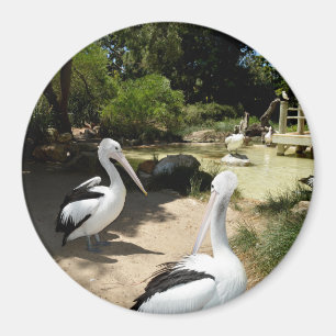 Pelican Sanctuary, Fridge Magnet