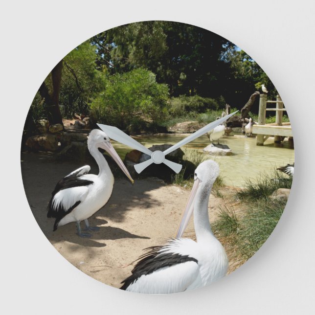 Pelican Sanctuary, Wall Clock (Front)