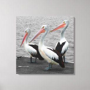 Pelican Sea Bird Minimalist Colour Pop Photography Canvas Print