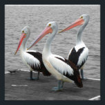 Pelican Sea Bird Minimalist Colour Pop Photography Photo Print<br><div class="desc">Pelican Sea Bird Minimalist Selective Colour,  Colour Pop Photography Art</div>