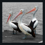 Pelican Sea Bird Minimalist Colour Pop Photography Poster<br><div class="desc">Pelican Sea Bird Minimalist Selective Colour,  Colour Pop Photography Art POSTER.</div>