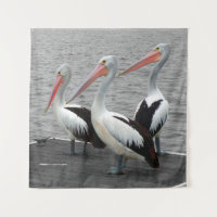 Pelican Sea Bird Minimalist Colour Pop Photography