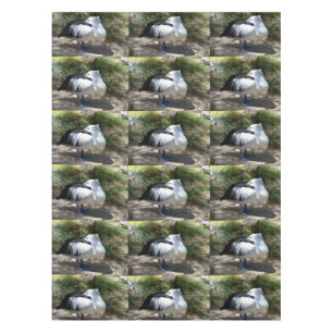 Pelican Siesta Time, Tablecloth