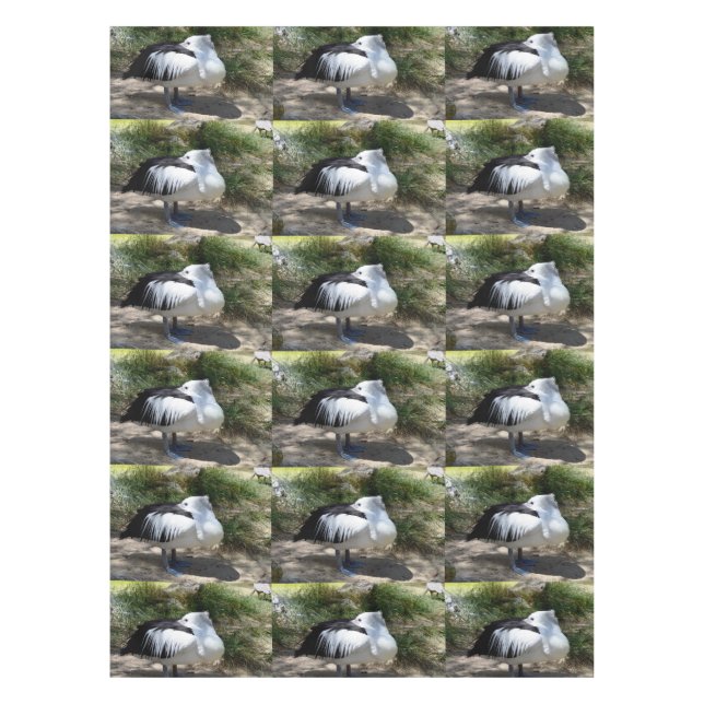 Pelican Siesta Time, Tablecloth (Front)