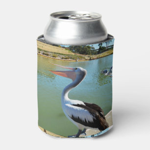 Pelican Singing A  Song, Can Cooler