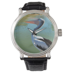 Pelican Singing A Song, Watch