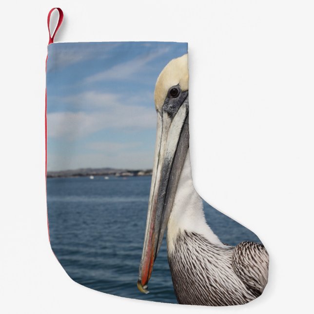 Pelican Small Christmas Stocking (Front)