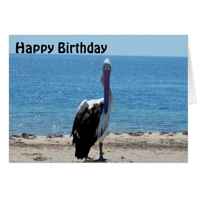 Pelican Stare Down,  Birthday Card (Front Horizontal)