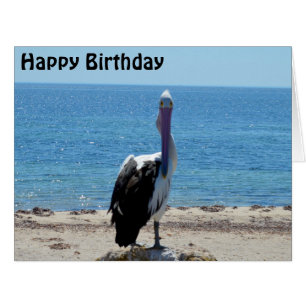 Pelican Stare Down, Jumbo Birthday Card