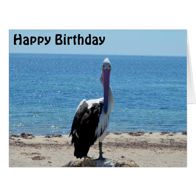 Pelican Stare Down, Jumbo Birthday Card (Front Horizontal)