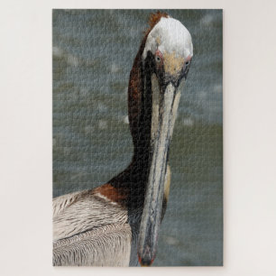 Pelican staring back at me card jigsaw puzzle