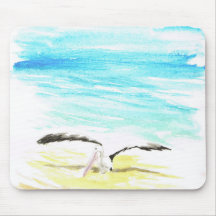 Pelican stretching wings