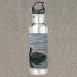 Pelican Swimming in the Water Photograph 710 Ml Water Bottle<br><div class="desc">Do you like birds?  Do you like nature theme water bottles?  This water bottle has a photograph of a brown pelican enjoying swimming in the water.</div>