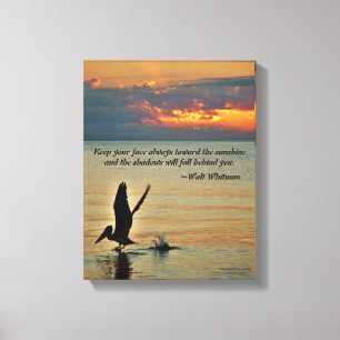 Pelican take off at sunset Gulf Coast Florida Canvas Print