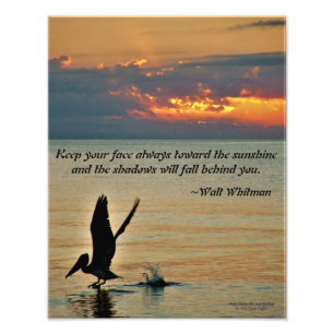 Pelican take off at sunset Gulf Coast Florida Photo Print