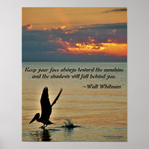 Pelican take off at sunset Gulf Coast Florida Poster