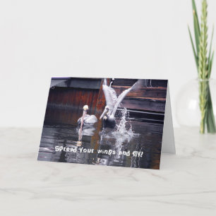 Pelican Takeoff Card