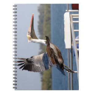 Pelican taking flight Notebook
