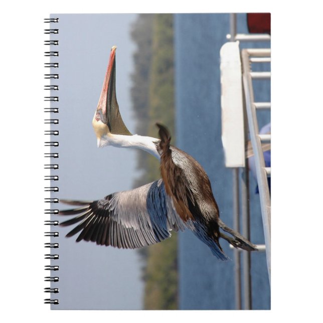 Pelican taking flight Notebook (Front)