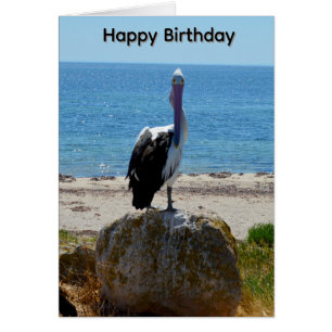 Pelican With The Look, Birthday Card